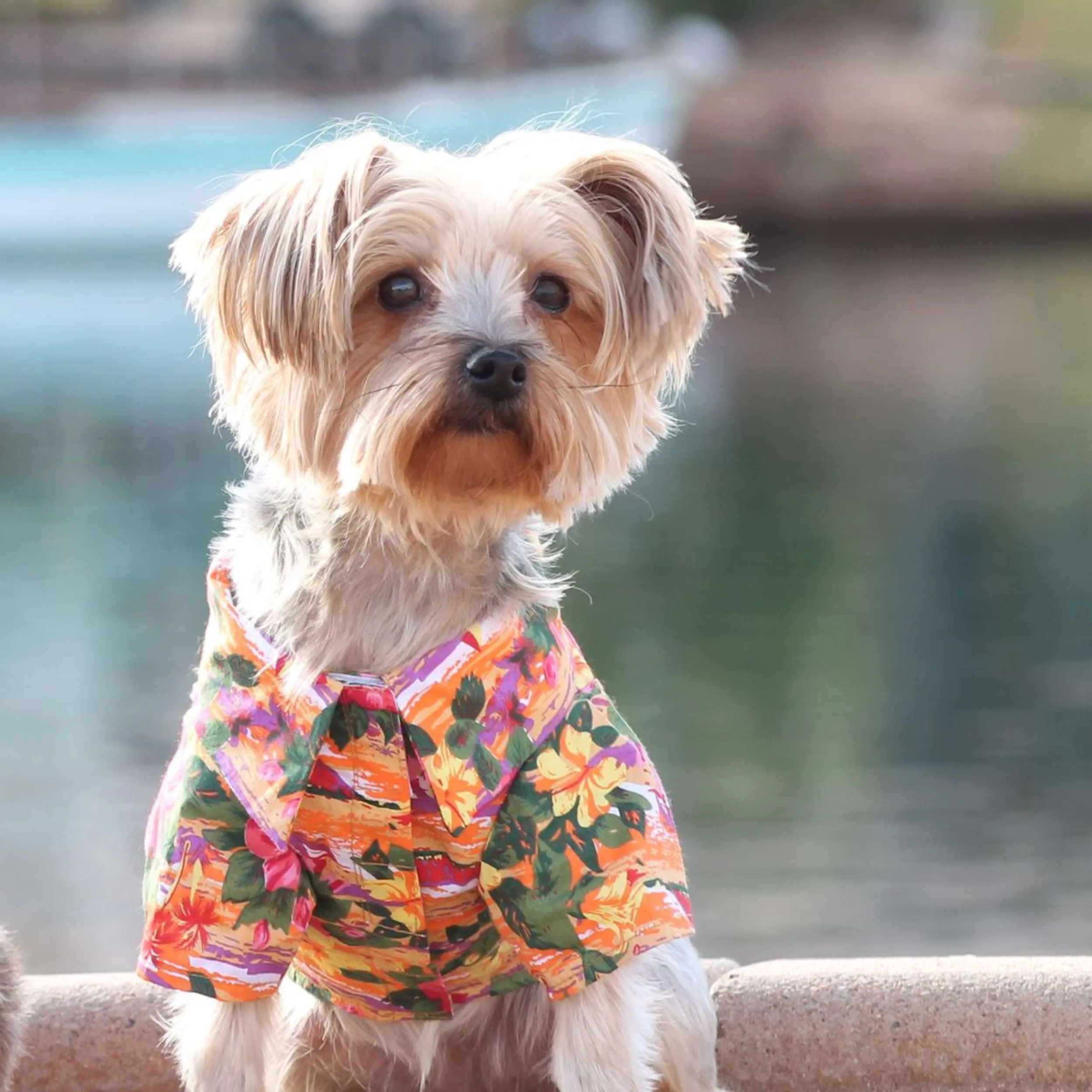 Hawaiian Camp Shirt | Sunset Hibiscus